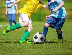 国王连胜遭,猛龙终结,洛里与西卡,乐鱼体育官网,LEYU,Sports,足球直播,篮球赛事,体育高清,NBA直播