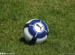 今日安庆金,价查询,乐鱼体育,乐鱼体育官网,LEYU,Sports,足球直播,篮球赛事,体育高清,NBA直播