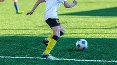 乐鱼体育 资讯 091733 ile